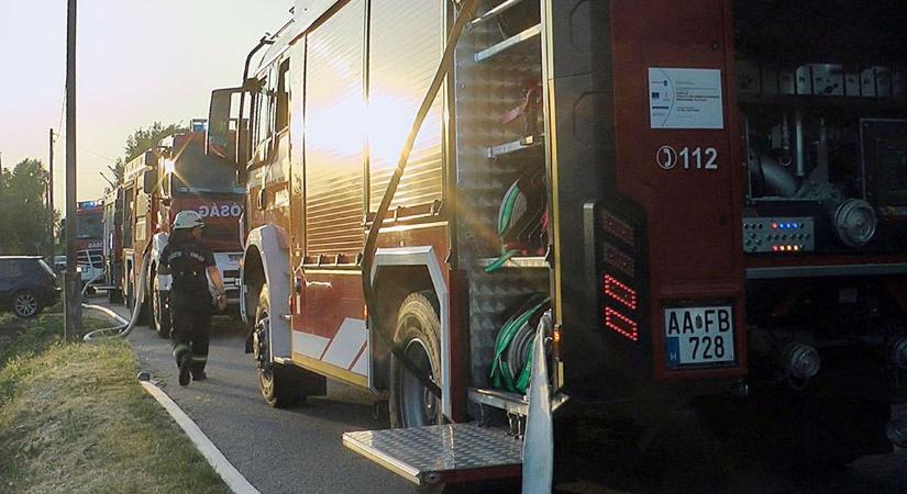 Kiderült, mit csinálnak a tűzoltók, ha nincsenek bevetésen, van, amit álmunkban sem gondolnánk – videóval