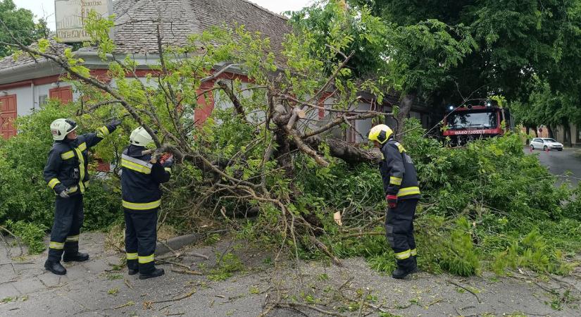 Brutális széllökésekkel csapott le a vihar, friss felvételeken mutatjuk a pusztítást