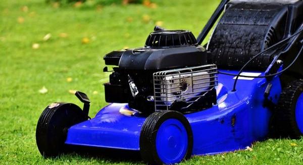 Zöld arany a kertben: 5 kreatív mód a fűnyesedék újrahasznosítására