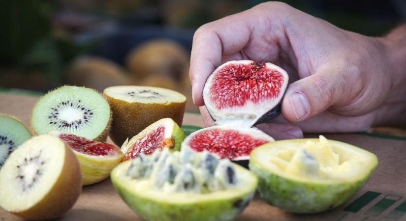 Ha meg akar halni, könnyen elérheti, és még megmosnia sem kell, sőt