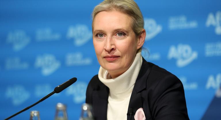 Egyre több képviselő szavazná meg az AfD betiltását
