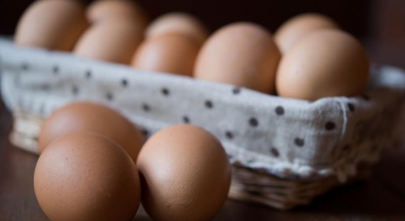 Akár 6 hónapig is eláll a tojás, ha így tárolod: csak egyetlen dologra lesz hozzá szükséged