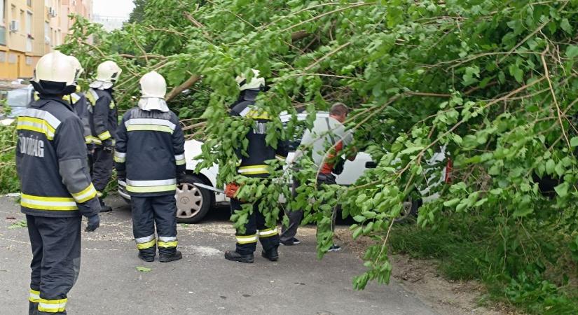 Viharos szél csapott le Dunaújvárosra – tűzoltók és rendőrök is beavatkoztak