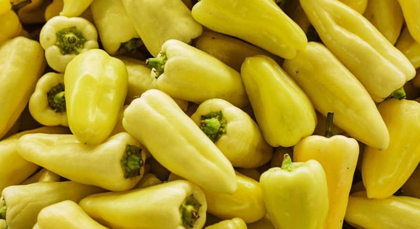 Ha ezt teszed a paprika bokorral, nyár végéig 3-szor annyi termést hoz majd!