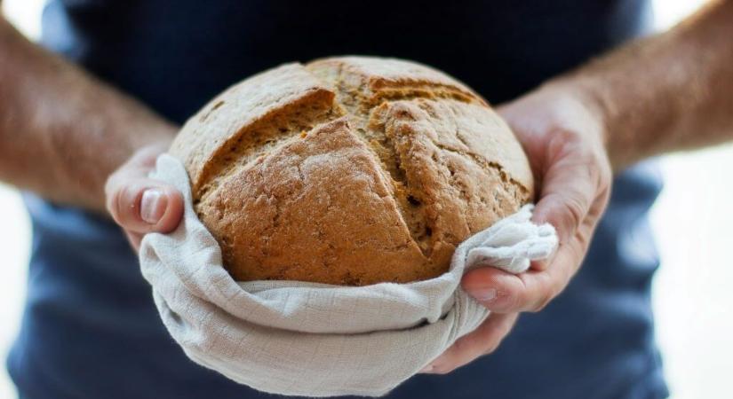 Penészedik a kenyér? Tovább marad friss, ha ezzel az egyszerű konyhai trükkel tároljuk