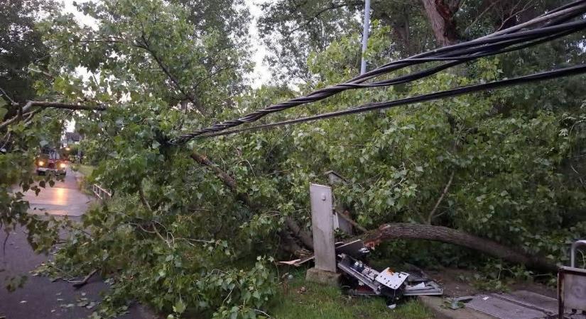 Pünkösdkor sem pihennek az önkéntes lánglovagok: fa dőlt a vezetékre Hédervárnál