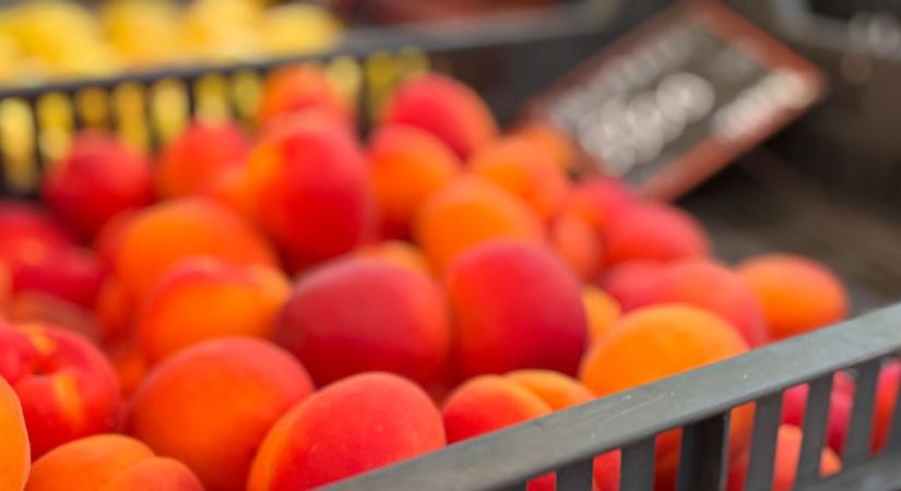 Itt a sárgabarack szezonja! Ennyiért kapni a városban