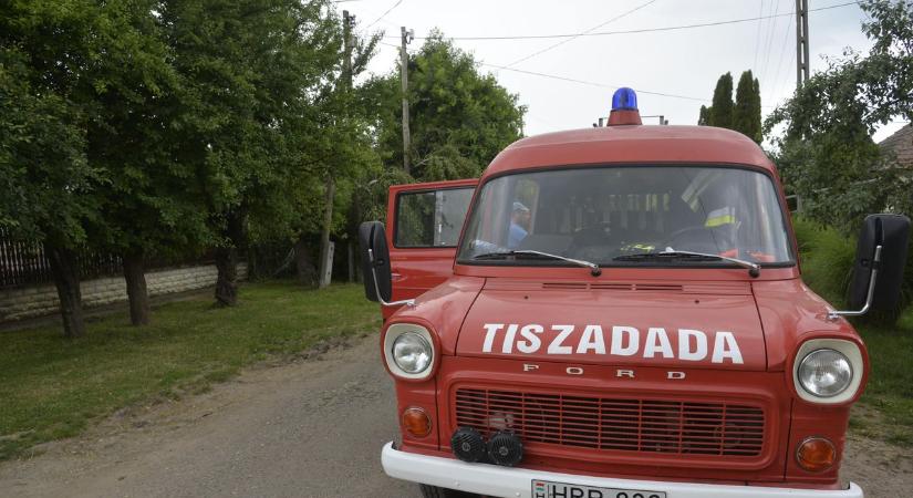 Kidőlt a fa Tiszadadán, nagy bajt csinált! (fotókkal)