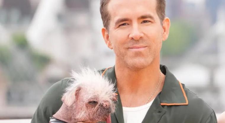 Ryan Reynolds nem hagyta szó nélkül azt, hogy kihagyták az új Deadpool-játékból