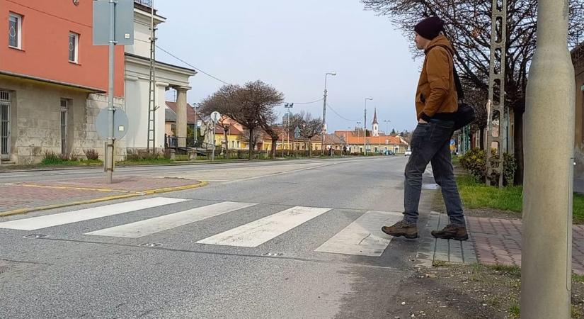 Indul a 2025-ös okoszebra szavazás - ezekben a városokra lehet szavazni