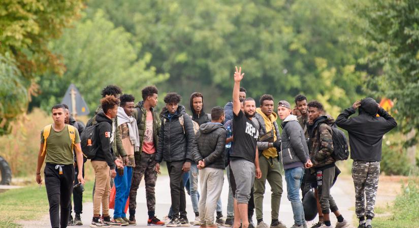Fáklyás civilek próbálták feltartóztatni a migránsokat a holland határon