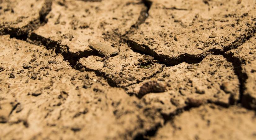 Súlyos aszály fenyeget – túl korán kezdődött a nyár a magyar földeken