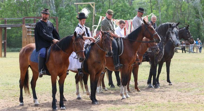Lóháton lett király a Mászáros-fiú, Pünkösdöltek Ópusztaszeren – galériával
