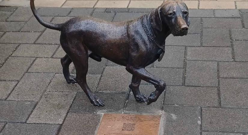 Szobrot kapott Béla, a város tragikus sorsú kutyája