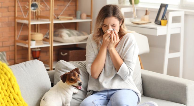 5 rossz otthoni szokás, ami súlyosbíthatja az allergiát