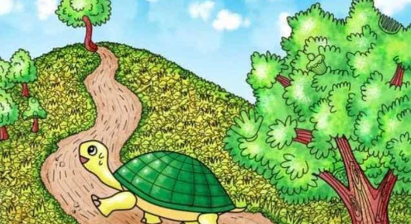 Egy zseni vagy, ha 8 másodperc alatt megtalálod a pizzaszeletet a képen