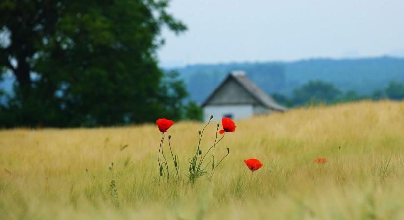 Csendes, meleg nap vár ránk… túl csendes?