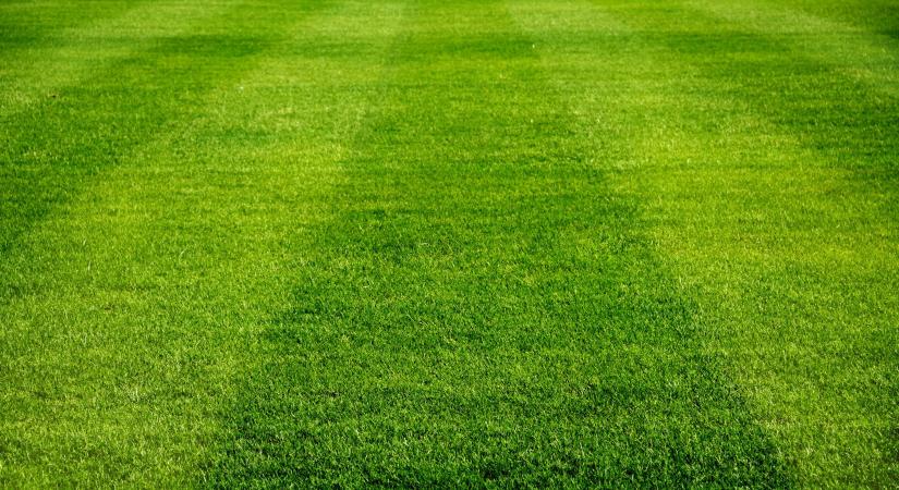 Három konzul lesz jelen a Magyarország-Azerbajdzsán futballmérkőzés helyszínén