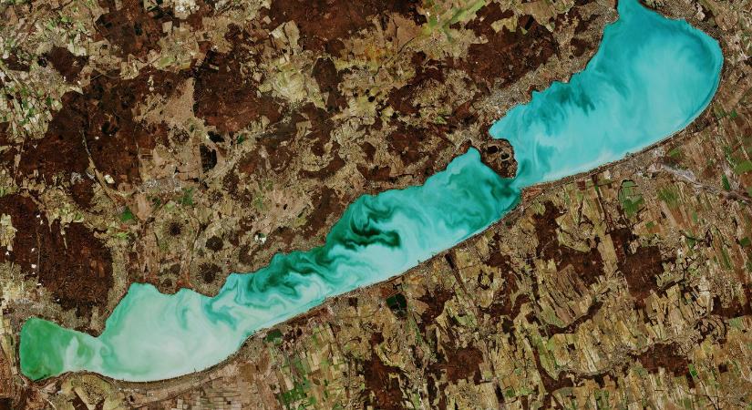 Kellemetlen új élőlény jelenik meg a Balatonban, ez mindenkinek fájni fog