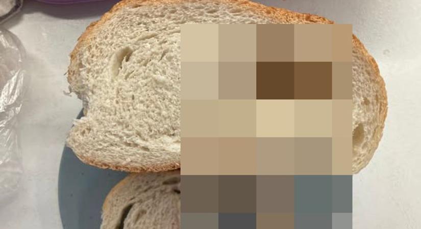 Ezt esszük? Felháborító, mit talált a kenyérben Nyíregyházán!