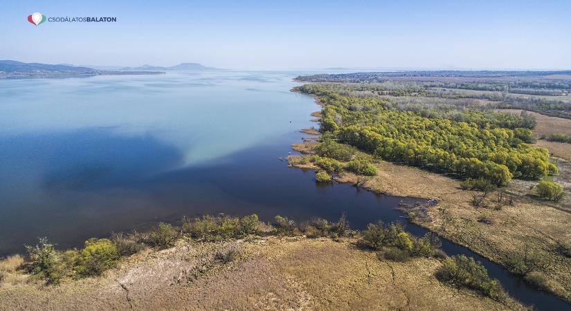 Falunap 2025 Balatonszentgyörgy