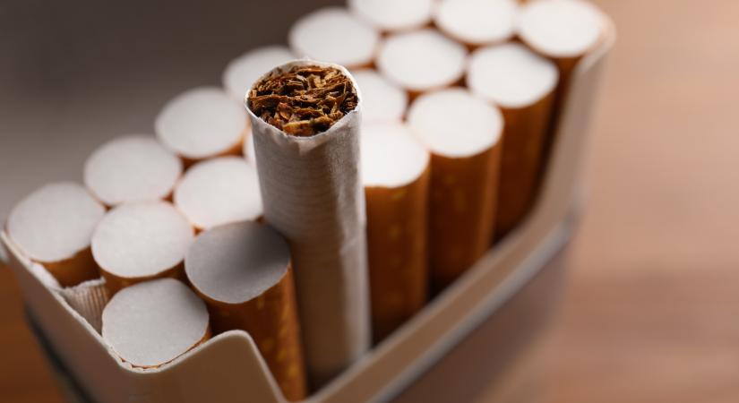 NAV: 65 ezer doboz csempészcigarettát találtak egy bolgár kamionban