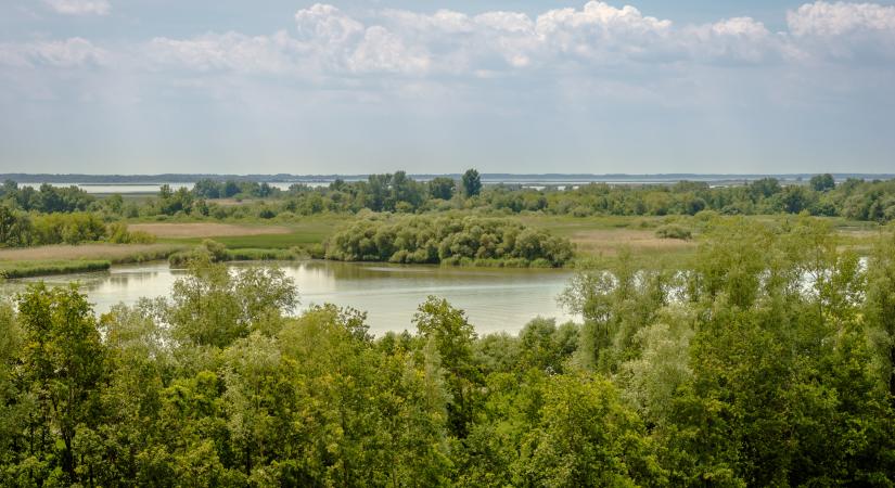 Klassz funkcióval bővült a magyar bringások kedvenc alkalmazása