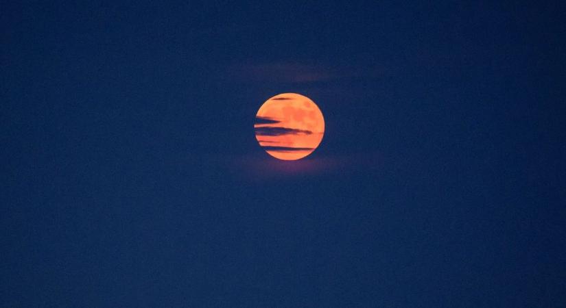 Strawberry Moon - Eperhold ragyog szerda éjjel