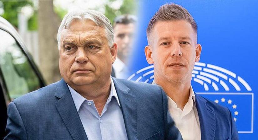 Elárulta Bojár Gábor, mit vár Magyar Pétertől