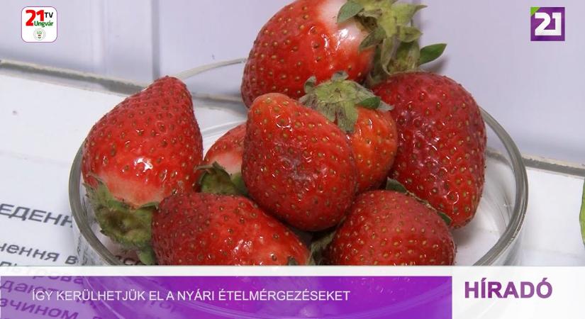 Így kerülhetjük el a nyári ételmérgezéseket – a hatóságok tanácsai (videó)