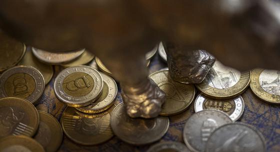 Bejött a Wallisnak a külföldi terjeszkedés, 100 milliárd forint fölé nőtt az eredménye