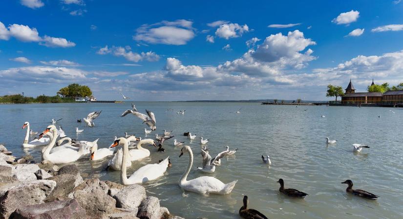 Rendkívüli, amit Szlovákiában a Balatonról írtak, leleplezték hazánk tengerét