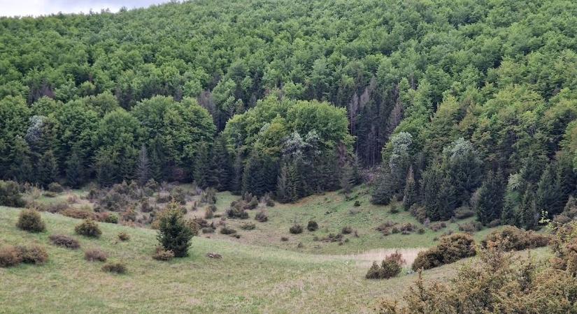 Megdőlt a nyári hidegrekord! Mínusz 8 fokot mértek ma hajnalban a Bükkben