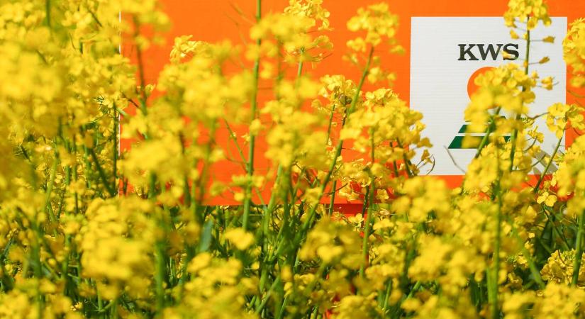 KWS – tíz éve első a repcetáblákon*, első az innovációban!