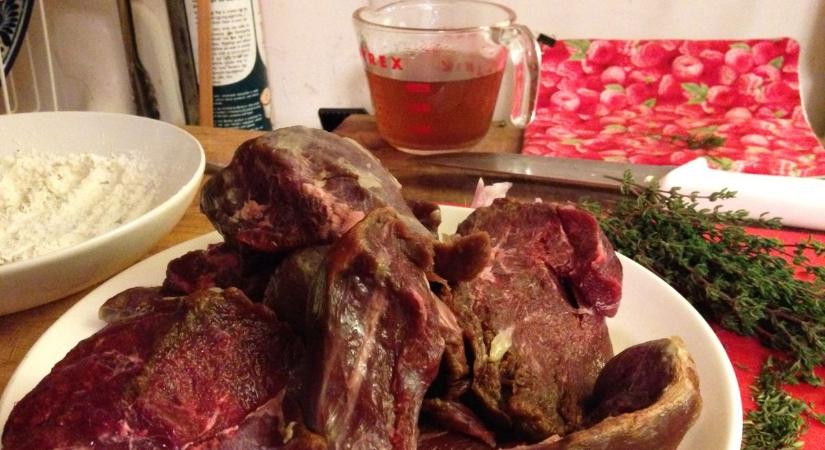 Étlapon a barnamedve! Ide mehetsz kóstolni, ha borsodi vagy!