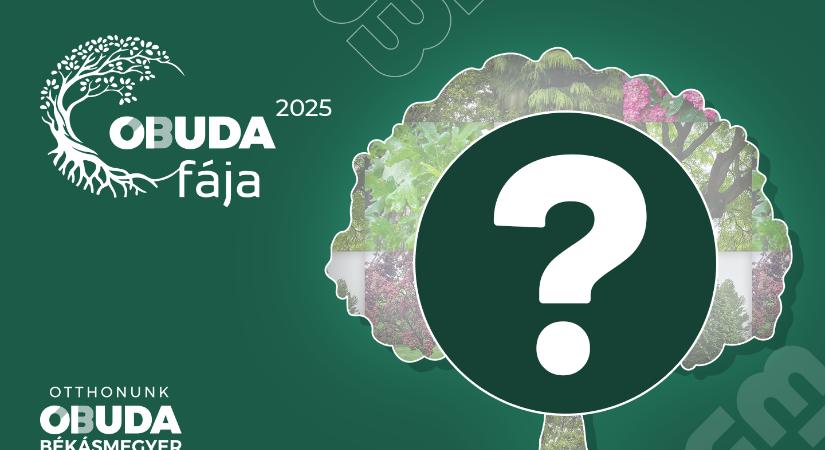 Keressük Óbuda Fáját 2025-ben is!