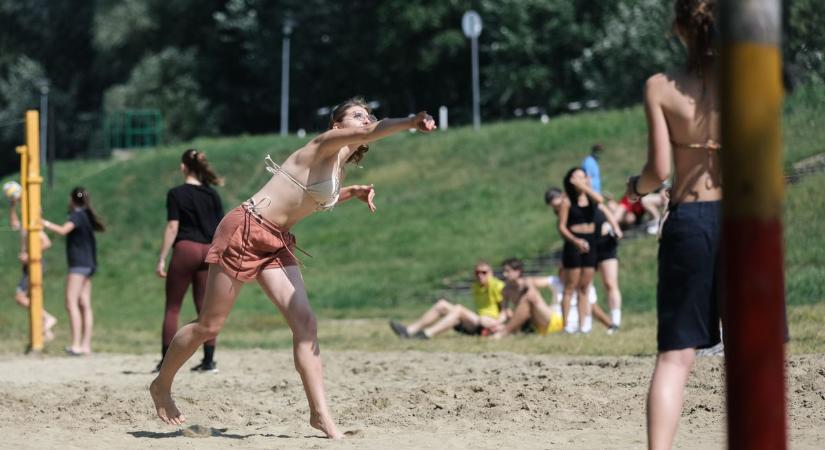 A győri állatmenhely lakóiért ütnek a parton – Rengeteg fotó!