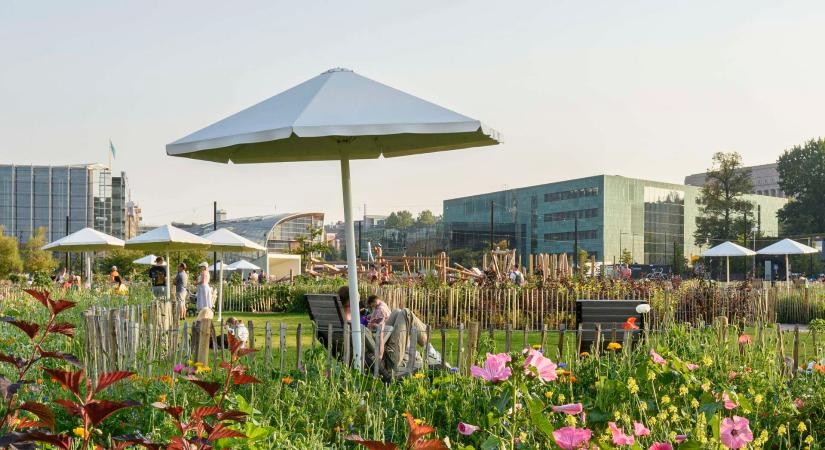 Töölönlahti újragondolása – Átmenet a természetbe