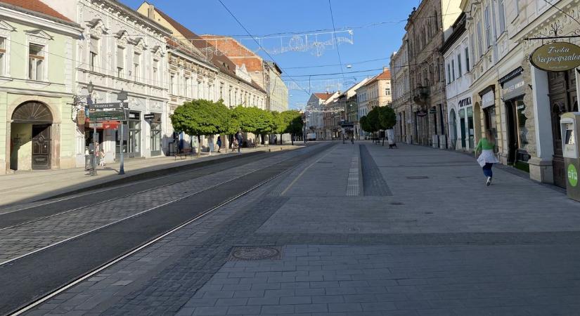 Egy maga nemében hatalmas állat császkált a miskolci éjszakában - képpel, videóval