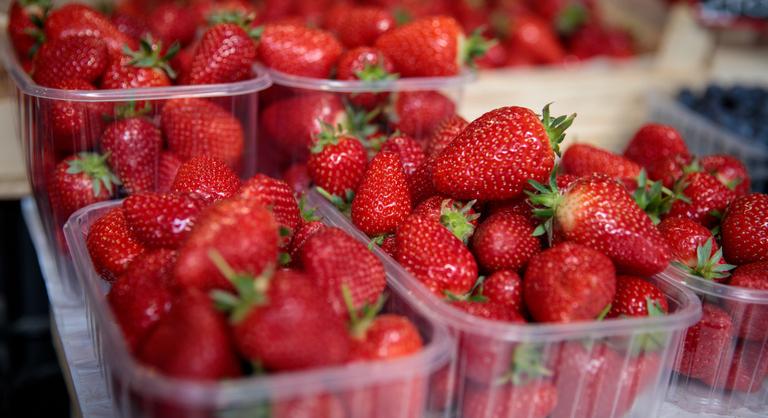 Nagyszabású szamócaellenőrzéseket tartott a Nébih