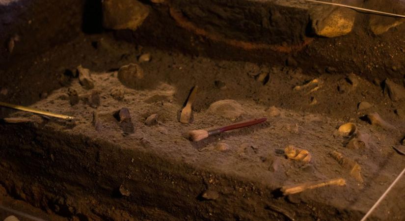 Ez mindent megváltoztathat: 6000 éves csontvázat találtak, ez a felfedezés újraírhatja az emberiség történelmét