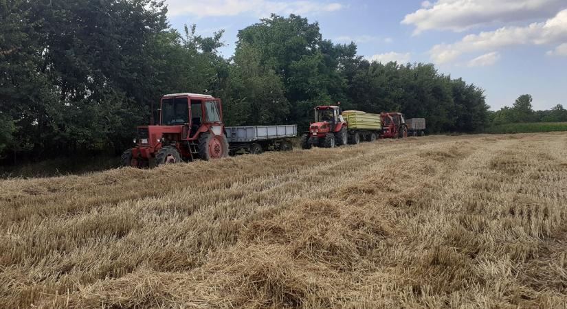 Brutális szél nehezíti meg az életünket – ilyen időre számíthatunk