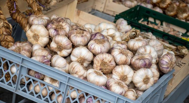 Hamarosan tetőzik a kínai fokhagymaexport
