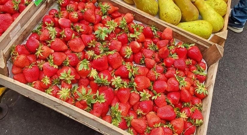 Több szamócaárus is megbukott a razzián - két héten át ellenőrzött a Nébih