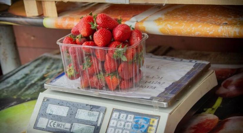 Fokozott szamócaellenőrzéseket tartott a Nébih, és a nyár további részében is felbukkanhatnak a piacokon