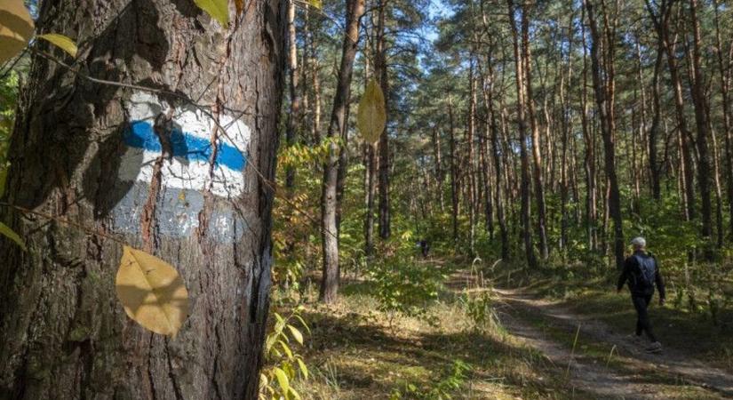 Fontolgatod, hogy nekivágj a Kéktúrának? Megadjuk az utolsó löketet!