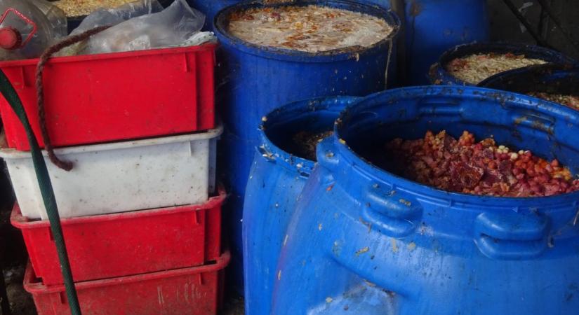 Ismeretlen eredetű anyag került az állatok ételébe, a hatóságok sem tudták, mi lehet az