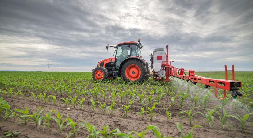 Ukrajna EU-s csatlakozása teljes ágazatokat tenne tönkre a magyar agrárszektorban