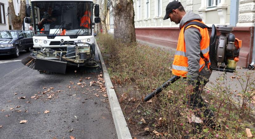 Platánvirágporban fulladozik a belváros a kórháznál, tolódás – videó