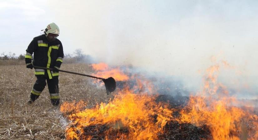 Megfeszített erővel oltották a lángokat Fejérben
